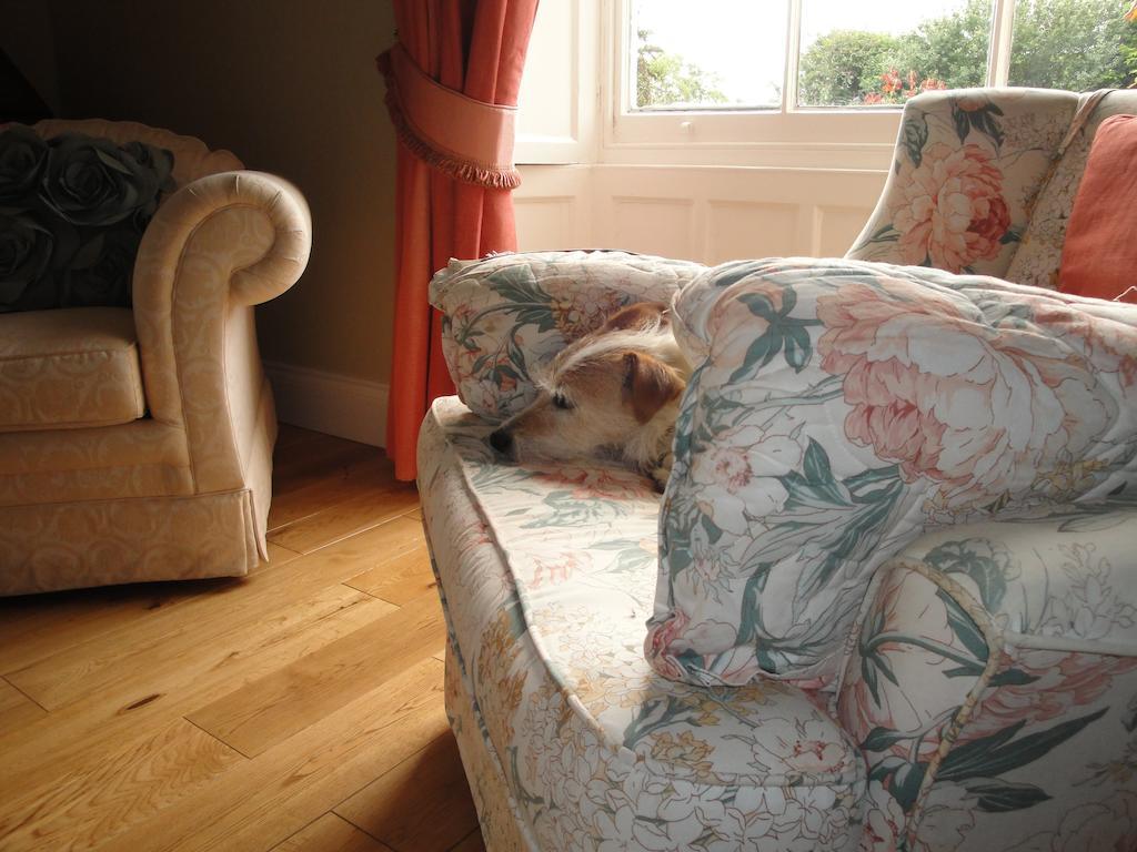 Cary Fitzpaine House Bed & Breakfast Babcary Luaran gambar