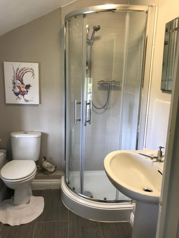 Cary Fitzpaine House Bed & Breakfast Babcary Bilik gambar