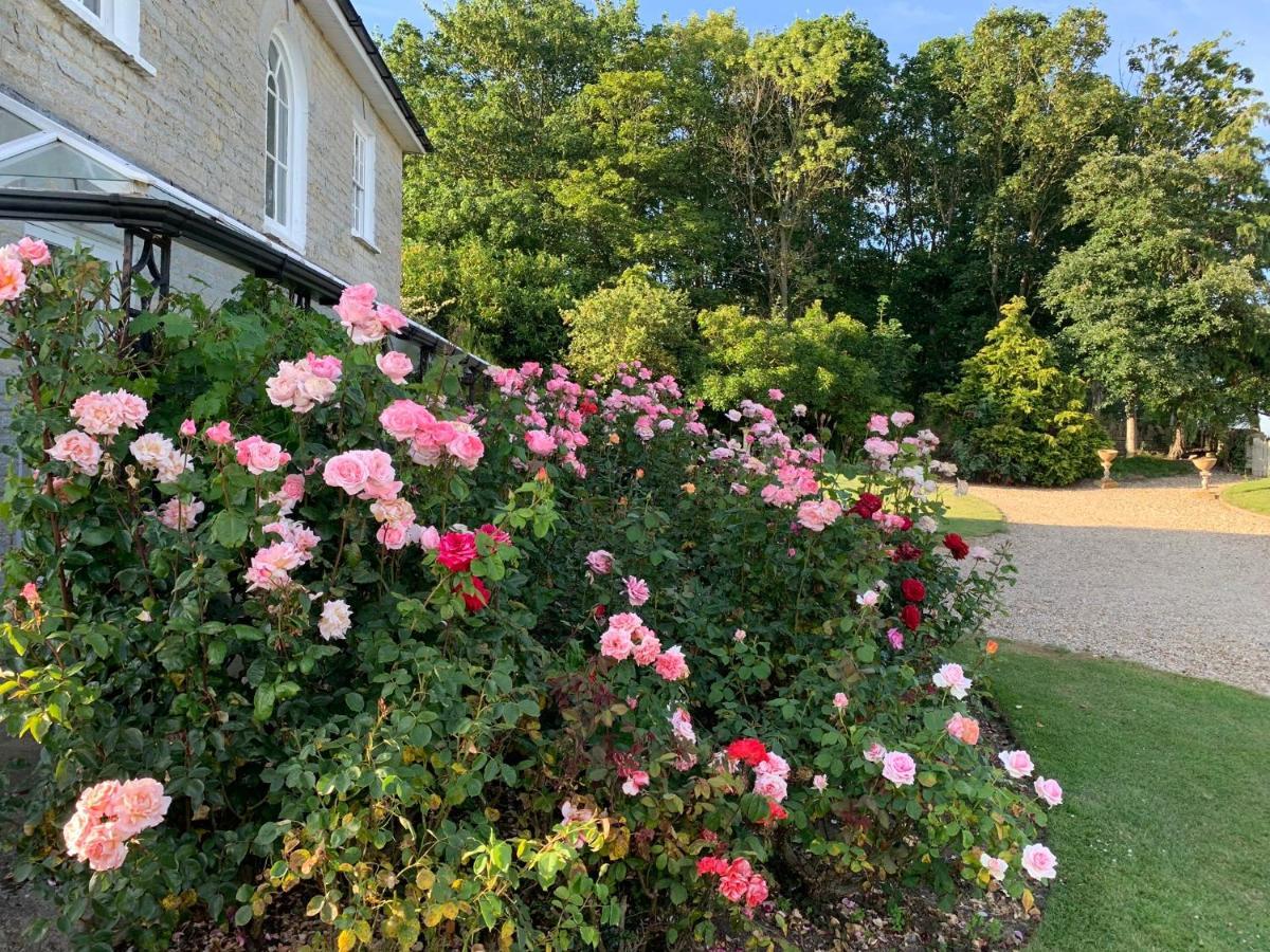 Cary Fitzpaine House Bed & Breakfast Babcary Luaran gambar