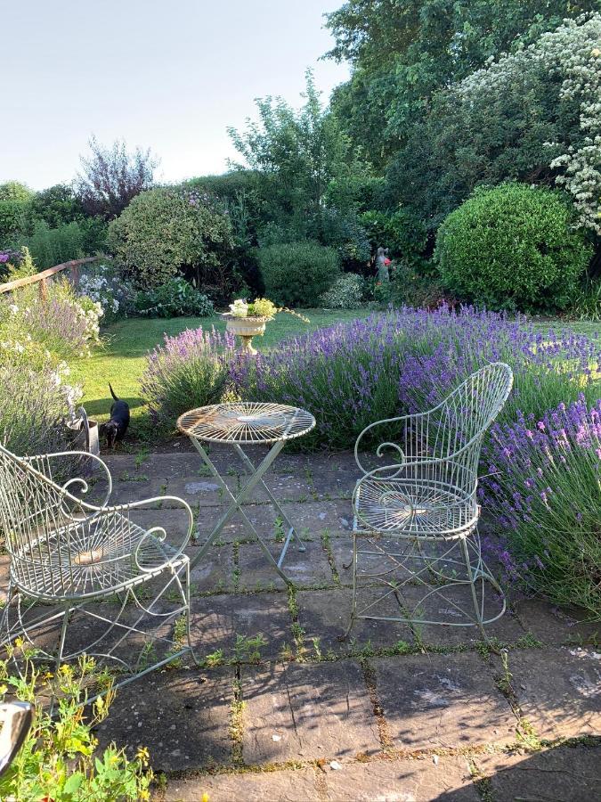 Cary Fitzpaine House Bed & Breakfast Babcary Luaran gambar